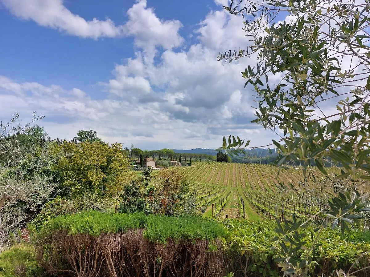 Agriturismo San Sano Gaiole in Chianti