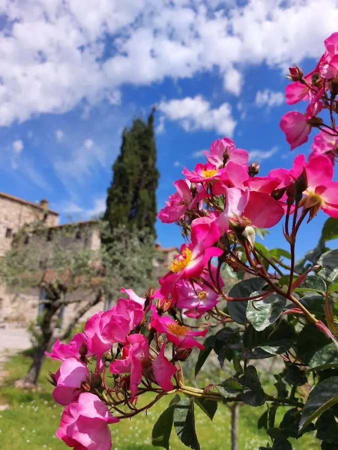 Alloggio per agriturismo Agriturismo San Sano Gaiole in Chianti