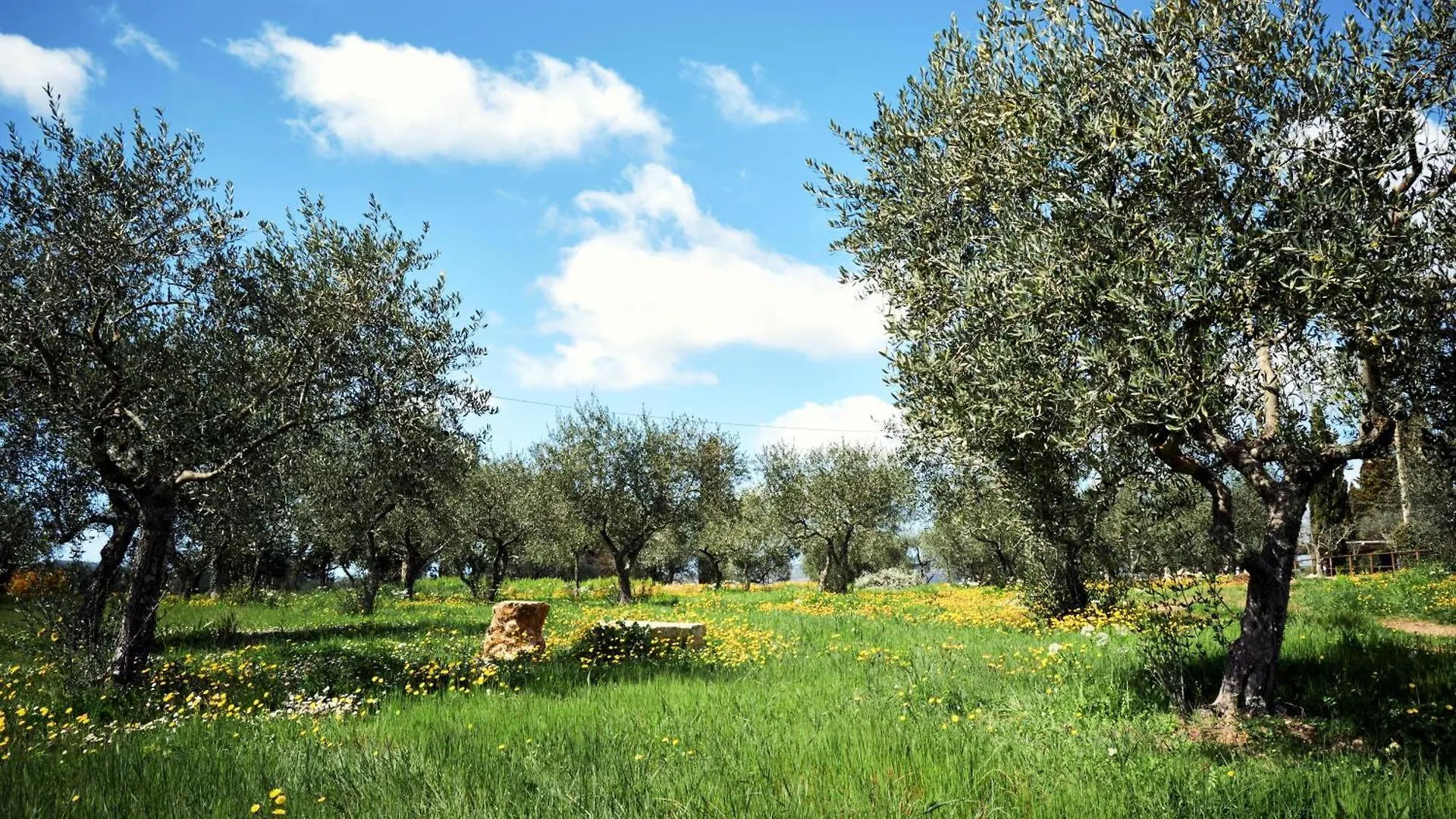 Farm stay Agriturismo San Sano Gaiole in Chianti